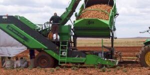 Uniekum Landbou Masjiene (Pty) Ltd | Potato and Onion Handling Specialists in South Africa | AVR Spirit 6100
